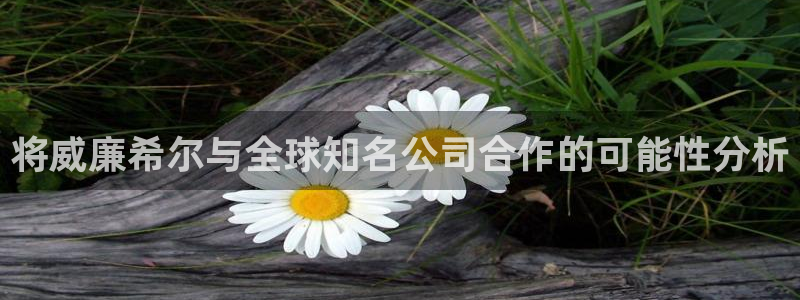 壹号官方app下载安装：将威廉希尔与全球知名公司合作的可能性分析