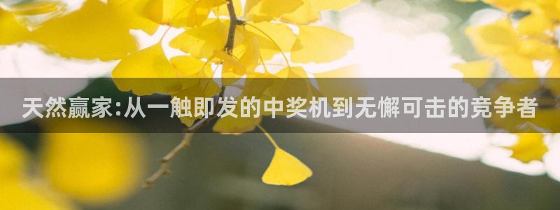 壹号电子娱乐app下载：天然赢家:从一触即发的中奖机到无懈可击的竞争者