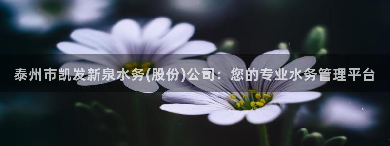 奇亿娱乐.ccm：泰州市凯发新泉水务(股份)公司：您的专业水务管理平台