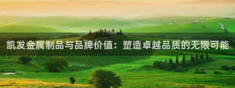奇亿娱乐吧：凯发金属制品与品牌价值：塑造卓越品质的无限可能