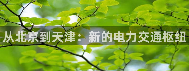奇亿娱乐app下载：从北京到天津：新的电力交通枢纽