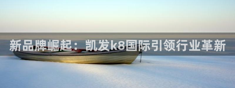 奇亿娱乐平台官网版最新：新品牌崛起：凯发k8国际引领行业革新