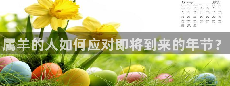 奇亿娱乐官网：属羊的人如何应对即将到来的年节？