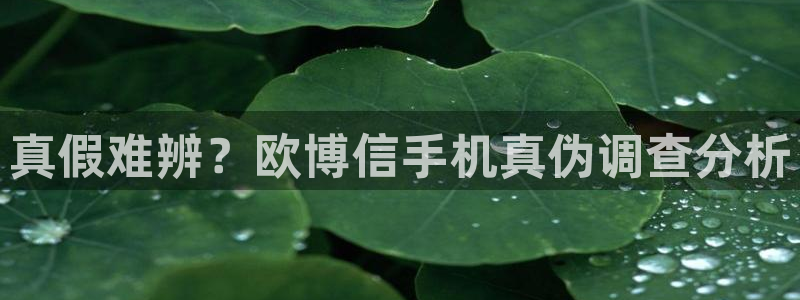 壹号大舞台有梦你就来：真假难辨？欧博信手机真伪调查分析
