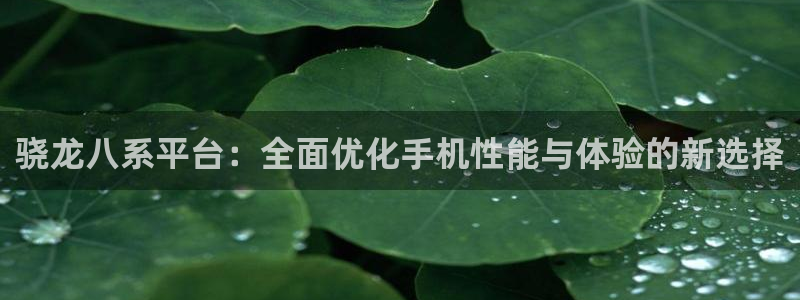奇亿娱乐.ccmpc29官网版下载：骁龙八系平台：全面优化手机性能与体验的新选择