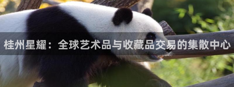奇亿娱乐登录网：桂州星耀：全球艺术品与收藏品交易的集散中心