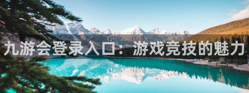奇亿娱乐游戏官网版：九游会登录入口：游戏竞技的魅力