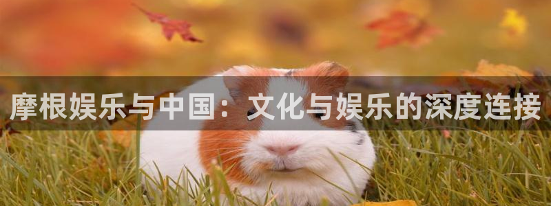 奇亿娱乐官网版下载：摩根娱乐与中国：文化与娱乐的深度连接
