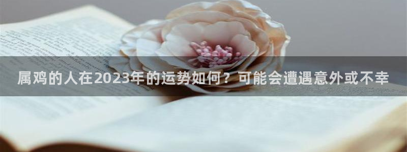 伟德国际集团 壹号(one game)：属鸡的人在2023年的运势如何？可能会遭遇意外或不幸