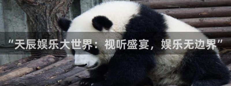 壹号大舞台娱乐传媒：“天辰娱乐大世界：视听盛宴，娱乐无边界”