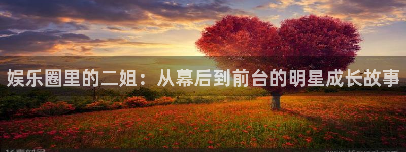 奇亿娱乐ccm赏金女王：娱乐圈里的二姐：从幕后到前台的明星成长故事