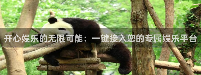 奇亿娱乐app网页入口：开心娱乐的无限可能：一键接入您的专属娱乐平台