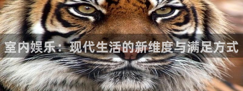 奇亿娱乐平台下载入口：室内娱乐：现代生活的新维度与满足方式