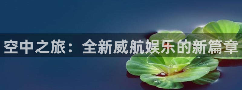 奇亿娱乐官网：空中之旅：全新威航娱乐的新篇章