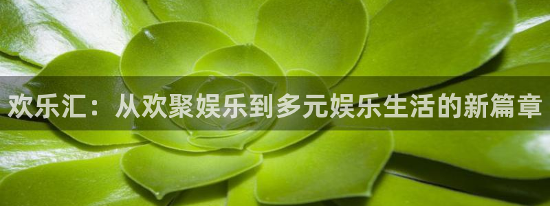 奇亿娱乐app官网下载苹果：欢乐汇：从欢聚娱乐到多元娱乐生活的新篇章
