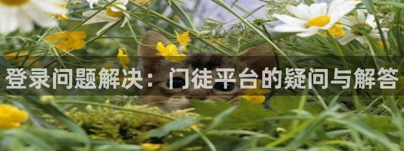 奇亿娱乐