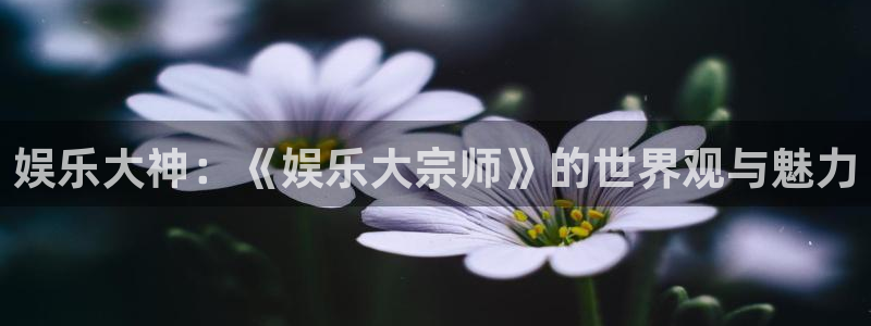 壹号电子娱乐app下载