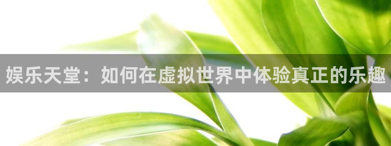奇亿娱乐放水时间