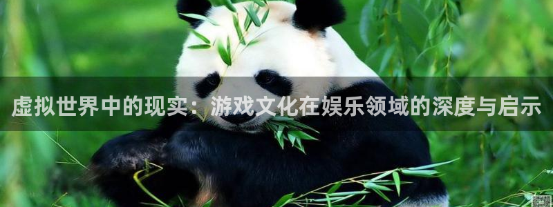 壹号大舞台娱乐传媒
