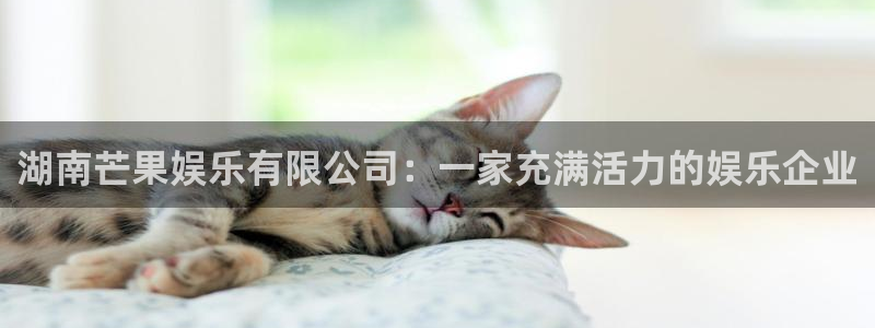 奇亿娱乐网页版