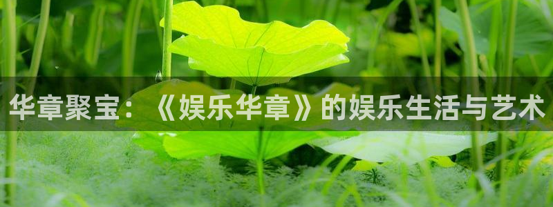 奇亿娱乐平台官方入口：华章聚宝：《娱乐华章》的娱乐生活与艺术